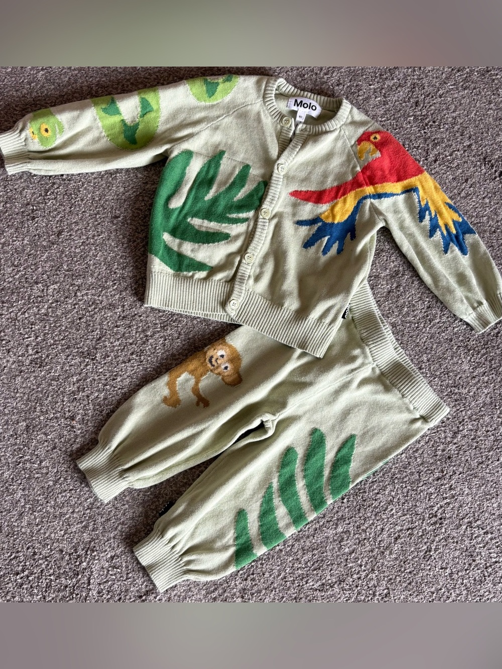 Molo Light Green Parrot & Jungle Knit Joggers Set